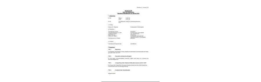 Protokoll Bundesvorstandssitzung 01/2019